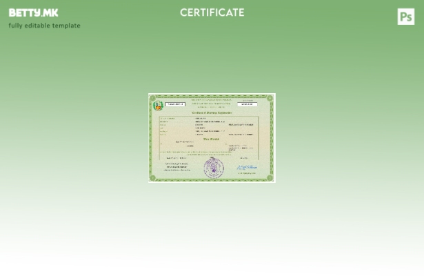 Модерен стил во Перу шаблон за шаблон Word и PDF